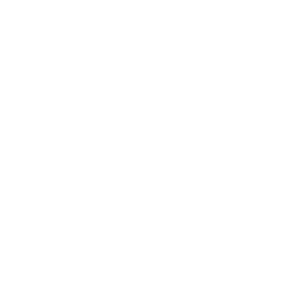 IPA - Award Logo - Best of the Best Firms - White