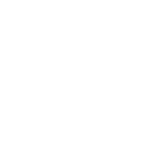 IPA - Award Logo - Top 500 Firms - White
